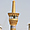 Minaret doré