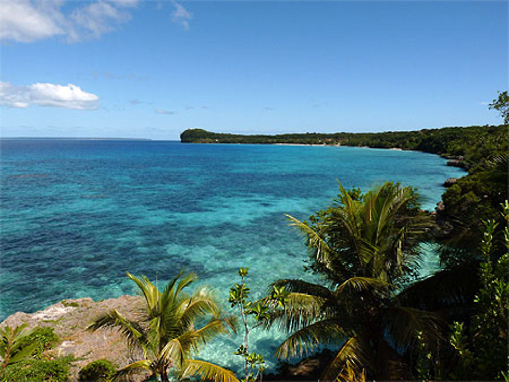 La baie de santal