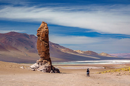 Chili, quand le désert d'Atacama devient jardin