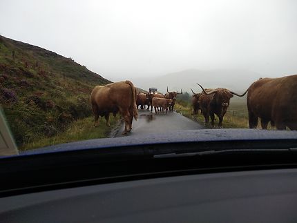 Sur une route écossaise