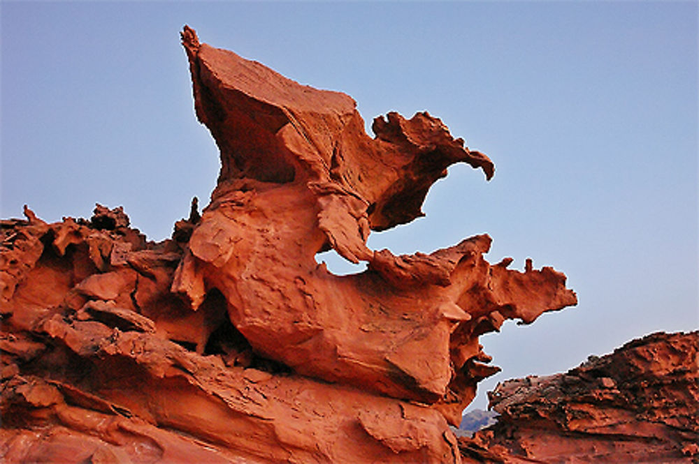 Le rapace de pierre