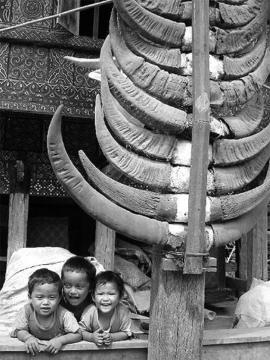 Enfants Toraja à Parinding Enfants Toraja à Parinding