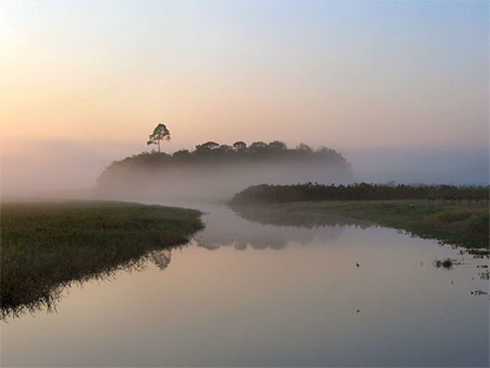 Le marais de kaw au petit matin