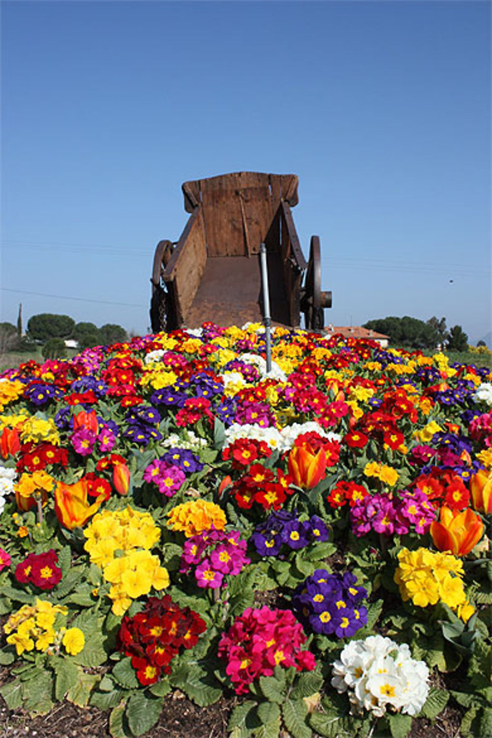 Charette de fleurs