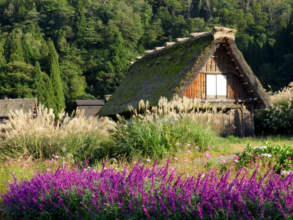 Shirakawa-go à l'automne Shirakawa-go à l'automne