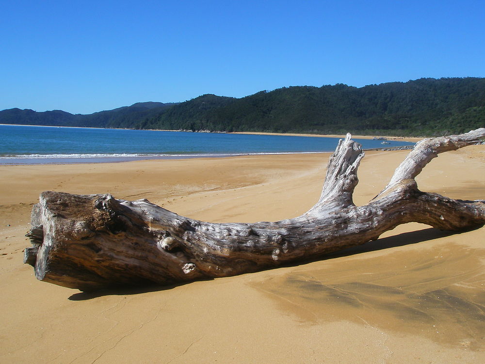 Totaranui beach