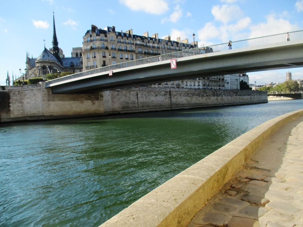 Le pont Saint Louis 