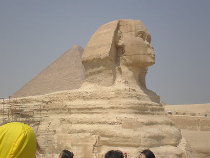 Le Sphinx dans le désert de Guizèh