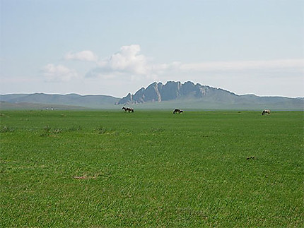 Steppes mongoles