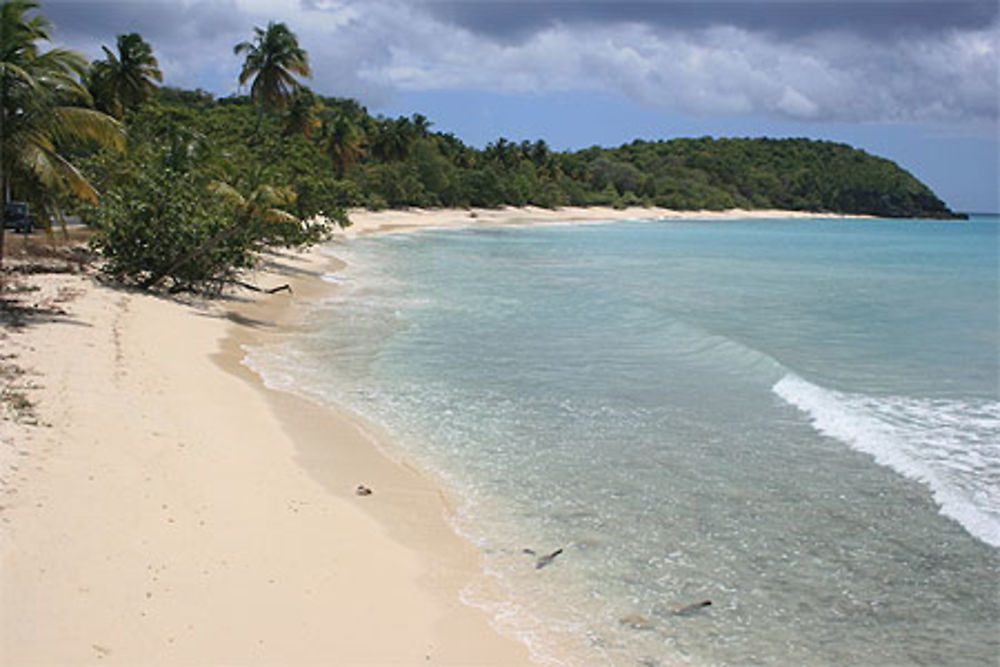 Plage du Vieux Fort