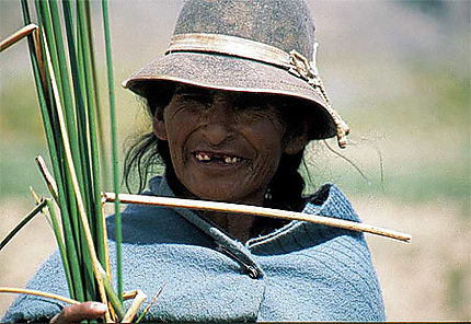 Bolivie ramassage de roseaux