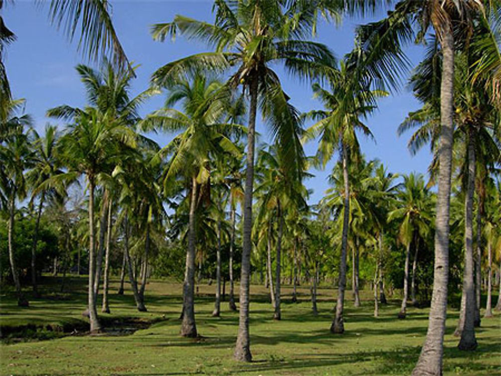 Ile de Gili Meno