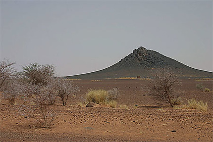 Paysage de désert