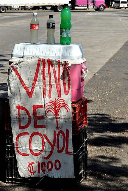 Le vin de palme vendu au bord de la route