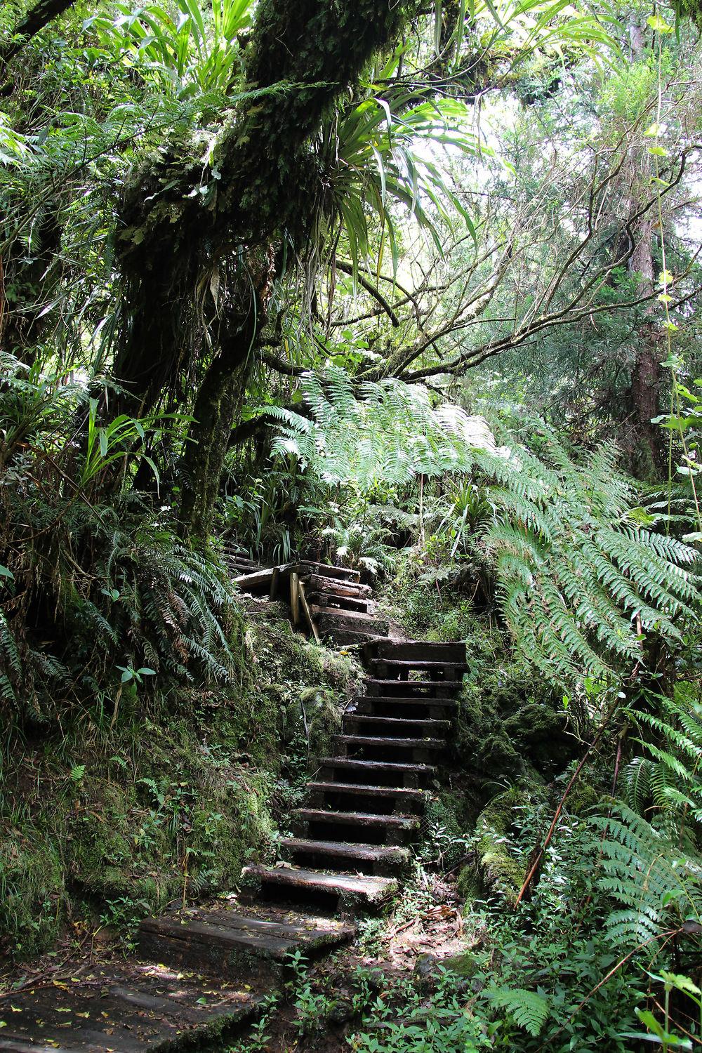 Sentier du Trou de Fer