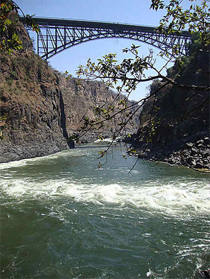 Pont des chutes Victoria