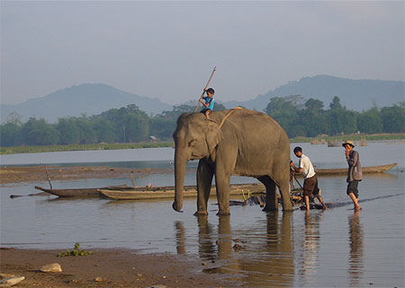 Lac LAK (buon ma tuot) Lac LAK (buon ma tuot)
