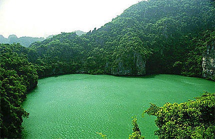 Anthong Bay