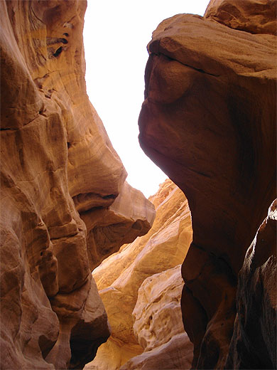 Red Canyon Red Canyon