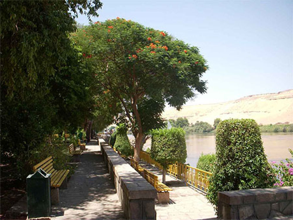 Jardin Botanique d'Assouan