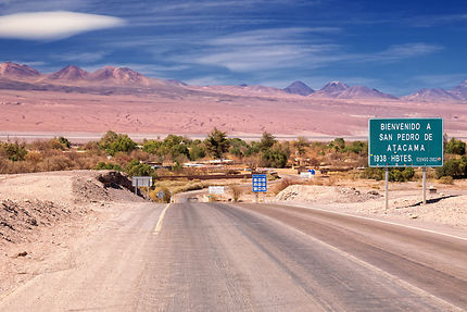 Chili, quand le désert d'Atacama devient jardin