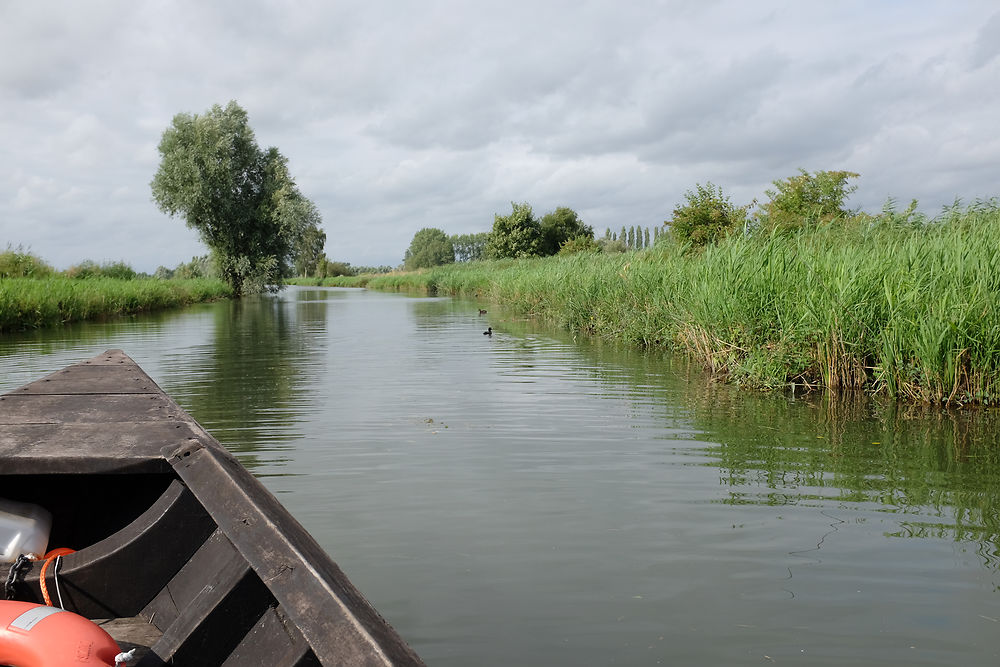 Au fil de l'eau