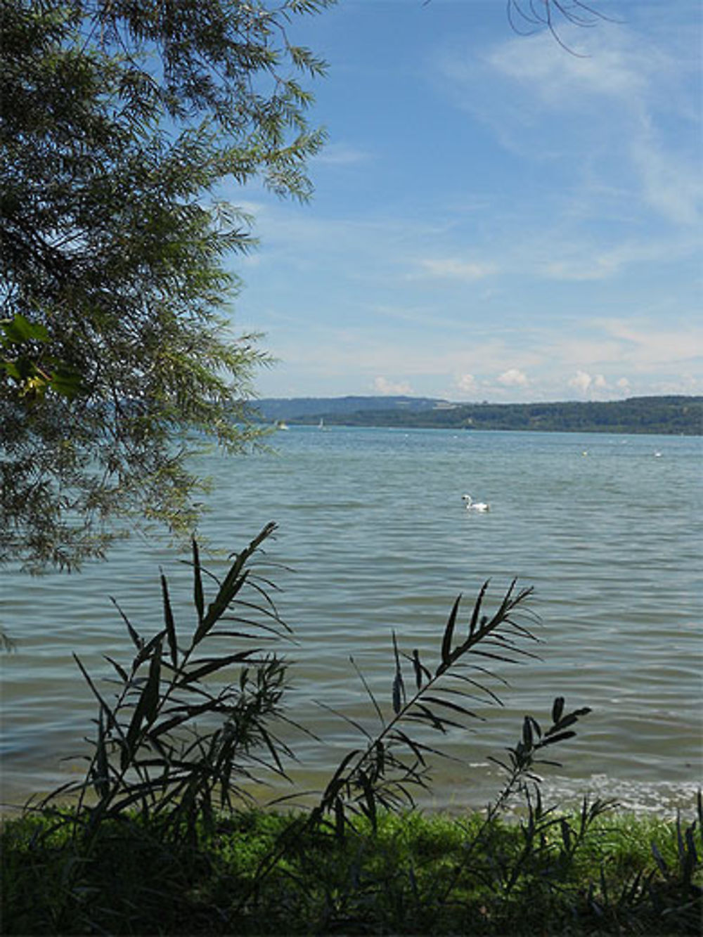 Lac de Neuchâtel