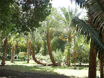 Jardin Botanique d'Assouan