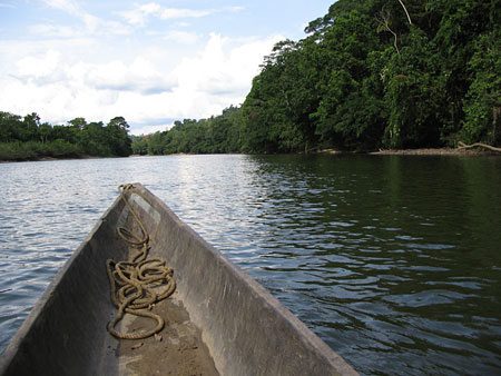 Sur le rio napo Sur le rio napo