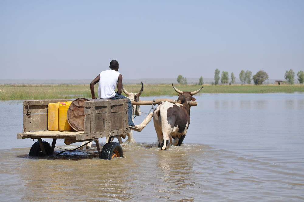 Traversée du fleuve Niger