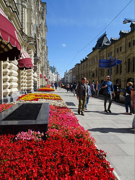 Fleurs devant le Goum