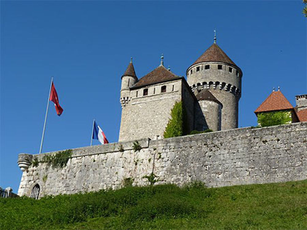 Château de Montrottier