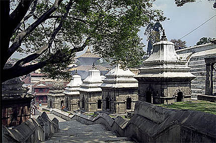 Vue sur Pashupatinath