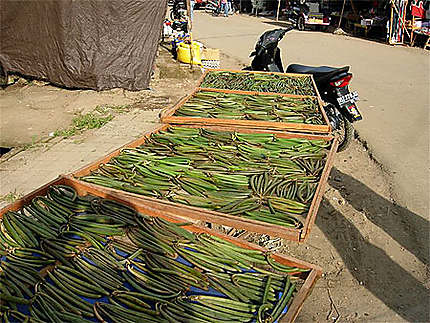 Séchage de gousses de vanille en bord de route à Rantépao