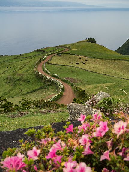Sao Jorge - Açores