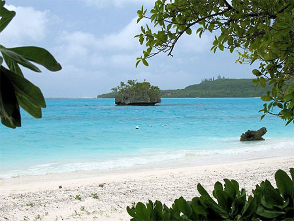 Lifou Nouvelle Calédonie