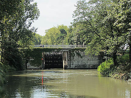 Canal du Midi, 4e bief (bief Bayard, 12 km 177), à l'approche de l'écluse de Castanet