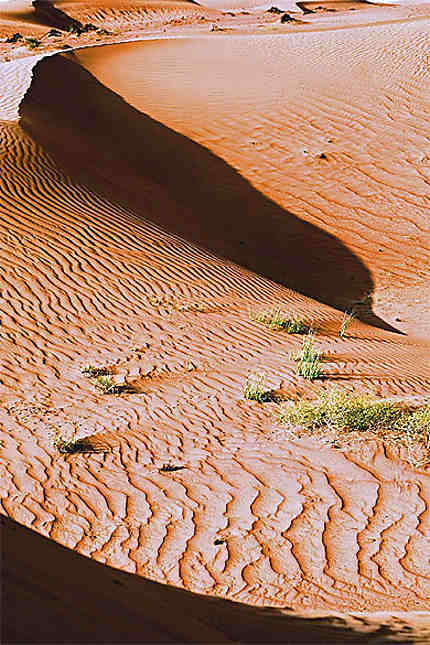 désert Emirats Arabes Unis