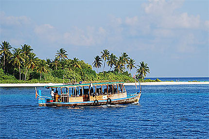 Dhoni maldivien