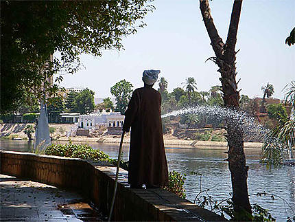 Jardin Botanique d'Assouan