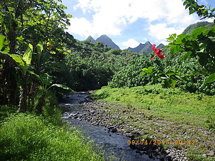 Rivière presqu'île de Tahiti