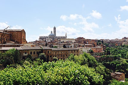 Siena 