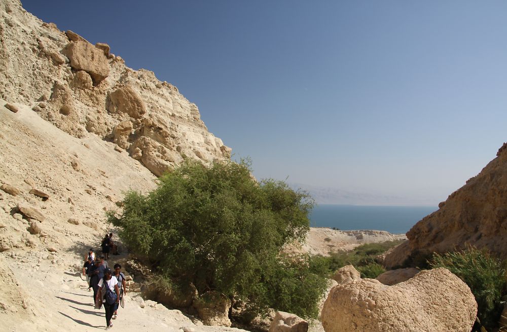 La Mer Morte vue de la réserve naturelle Ein Gedi