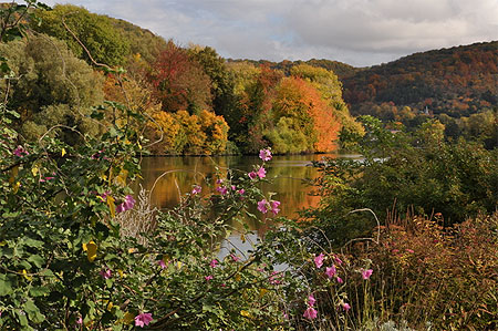 Jardin du peintre Ratel en automne Jardin du peintre Ratel en automne