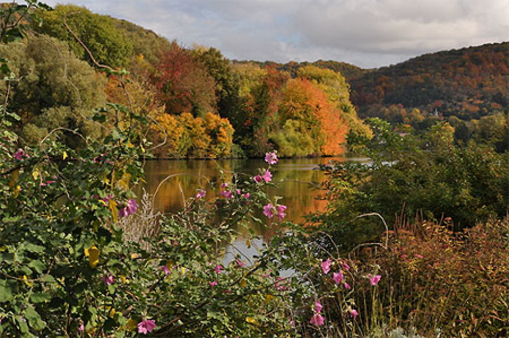 Jardin du peintre Ratel en automne