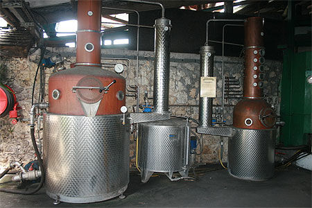 Distillerie Bielle