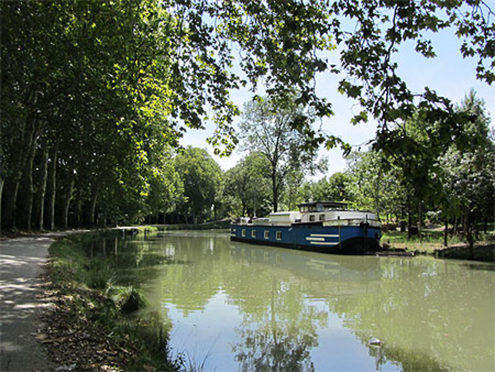 Canal du Midi, 4e bief (bief Bayard, 12 km 177), direction l'écluse de Castanet