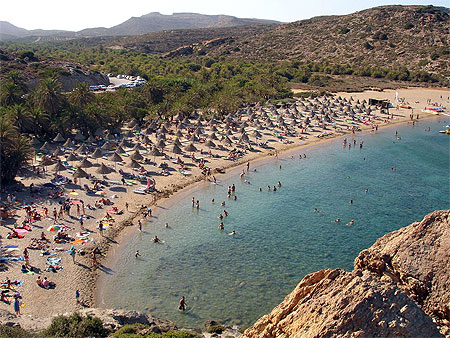 Plage aux mille et un palmiers Plage aux mille et un palmiers