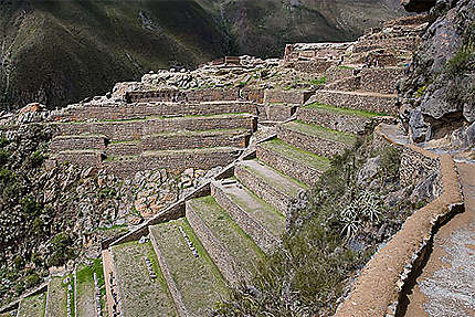 Les ruines d'Ollantaytambo