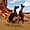 Chevaux à Monument Valley